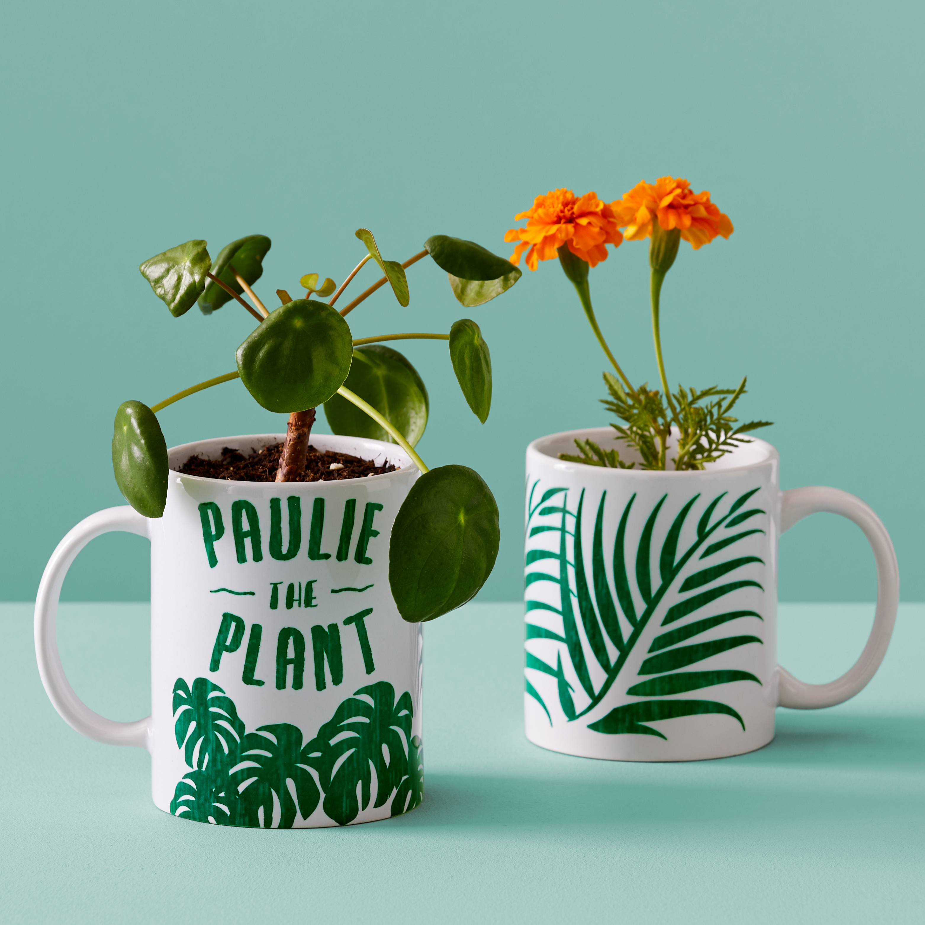 Cricut 440ml Ceramic Mug Blank Bulk 36 pc White